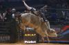 Stream It Or Skip It: 'The Ride' on Prime Video, a Reality TV Show That Takes Viewers Inside The Sport of Professional Bull Riding